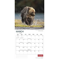 Canadian Geographic Wildlife | 2023 12x24 Inch Square Wall Calendar