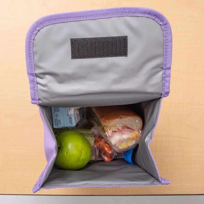 Assorted Foldable Insulated Lunch Bags for Kids, Lunch Box for School, School Lunch Bag