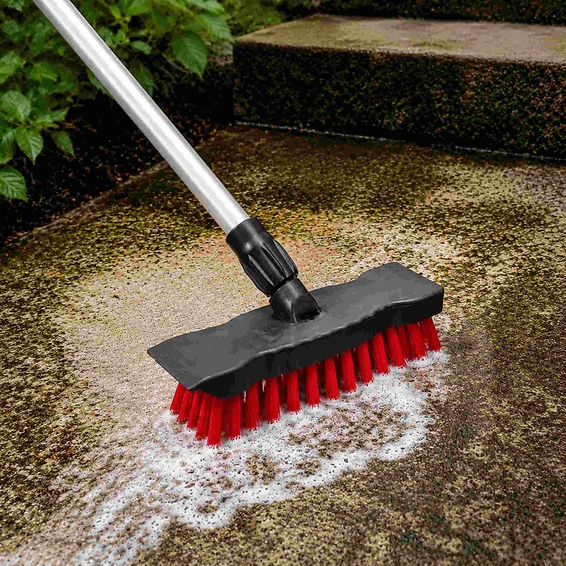 Brosse récur avec grattoir de Project Select