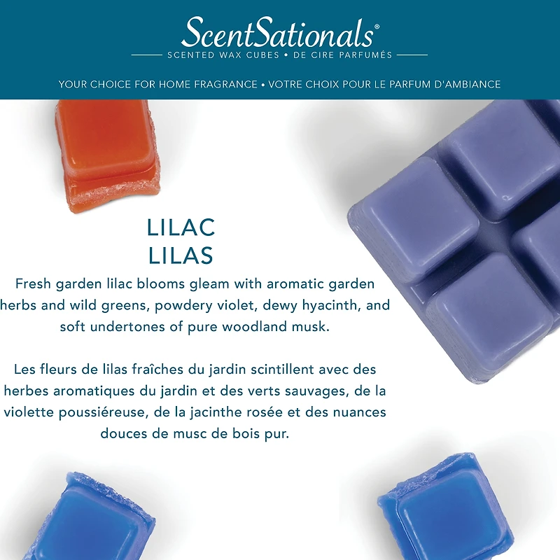 ScentSationals Scented Wax Cubes - Lilac