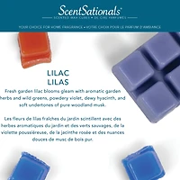 ScentSationals Scented Wax Cubes - Lilac