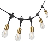 Guirlande lumineuse à DEL Edison 10 fils Better Homes & Gardens, 120 V, à brancher