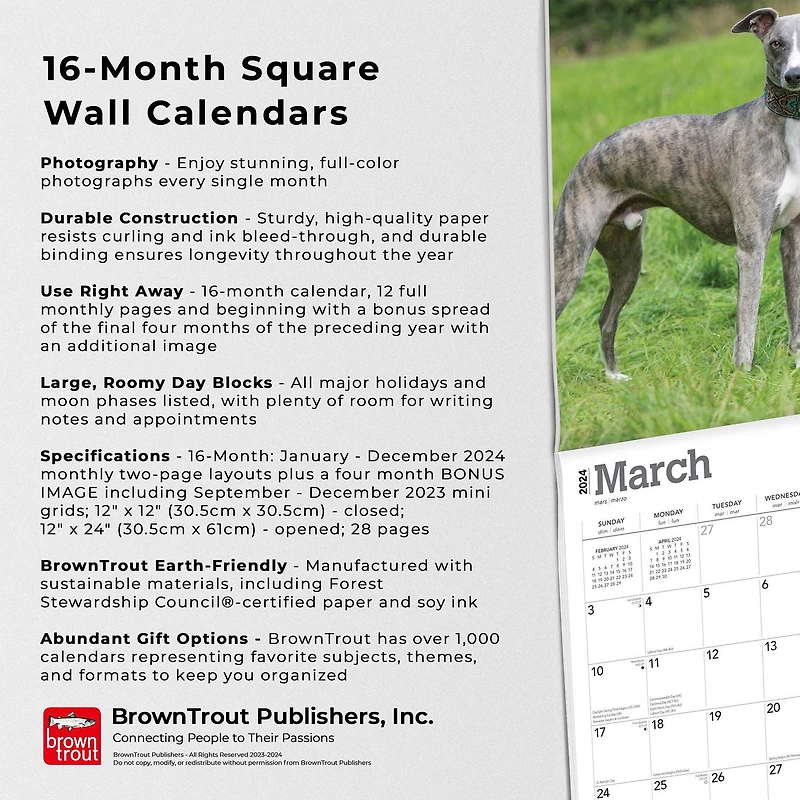 BrownTrout Whippets 2024 12x24 Inch Square Wall Calendar, 9781975470760