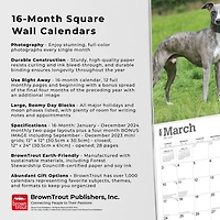 BrownTrout Whippets 2024 12x24 Inch Square Wall Calendar, 9781975470760