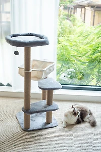 Catry Oak Tour pour chat à 3 niveaux avec hamac et griffoir