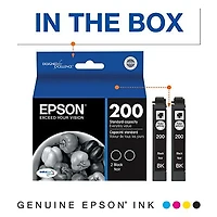 Cartouches d'encre noire T200120-D2 DURABrite de Epson, rendement standard, 2 par paq.