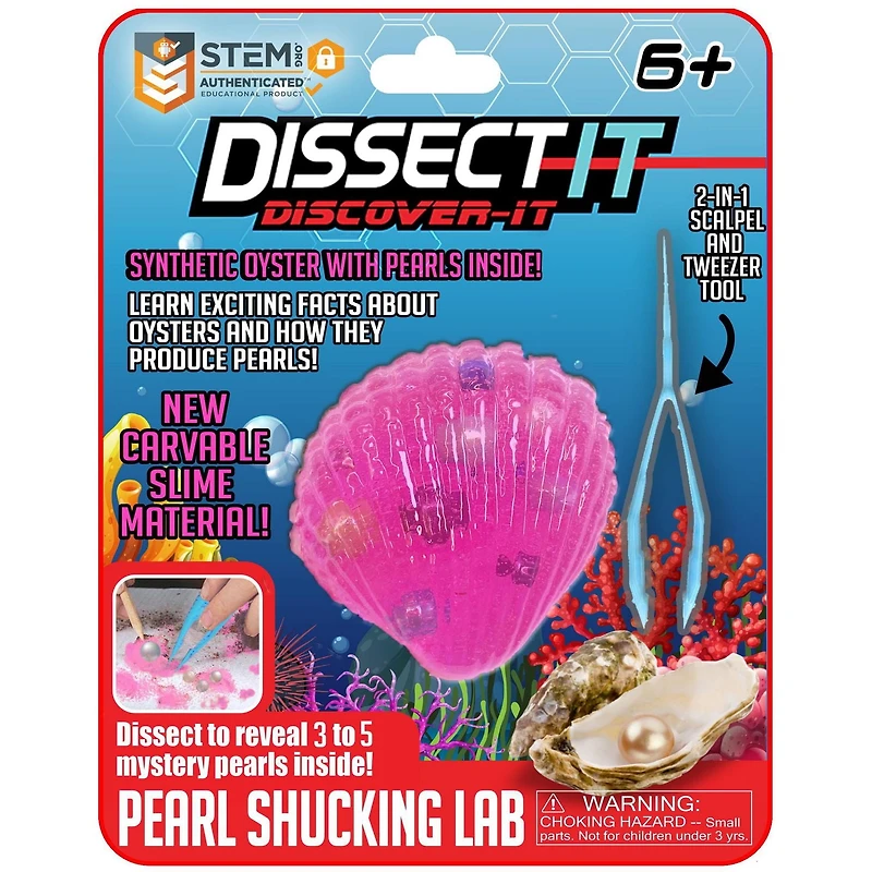 Trousses de dissection Dissect It – Série Découverte - Huître