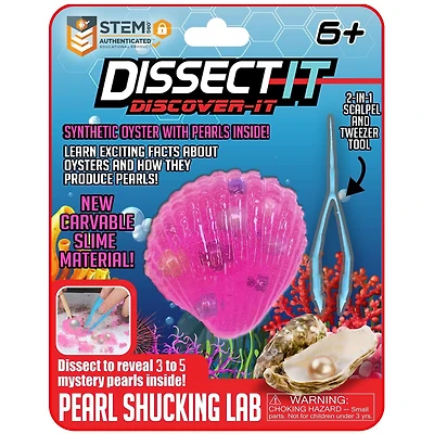 Trousses de dissection Dissect It – Série Découverte - Huître