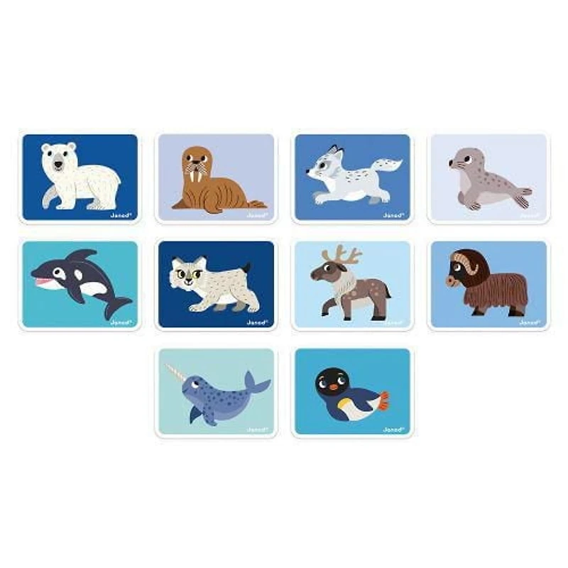 Janod - Magnéti'Book Polar Animals - Magnetic Educational Game 30 Magnets + 10 Models - Children's Toy Made of FSC Cardboard - Develops Fine Motor Skills and Imagination - Suitable for Ages 3
