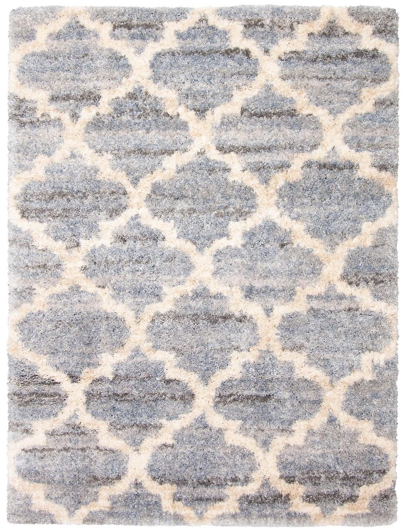 ECARPET Trellis Frieze Area Rug Fluffy Carpet for Bedroom, Ultra Soft & Plush Annica Collection