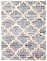 ECARPET Trellis Frieze Area Rug Fluffy Carpet for Bedroom, Ultra Soft & Plush Annica Collection