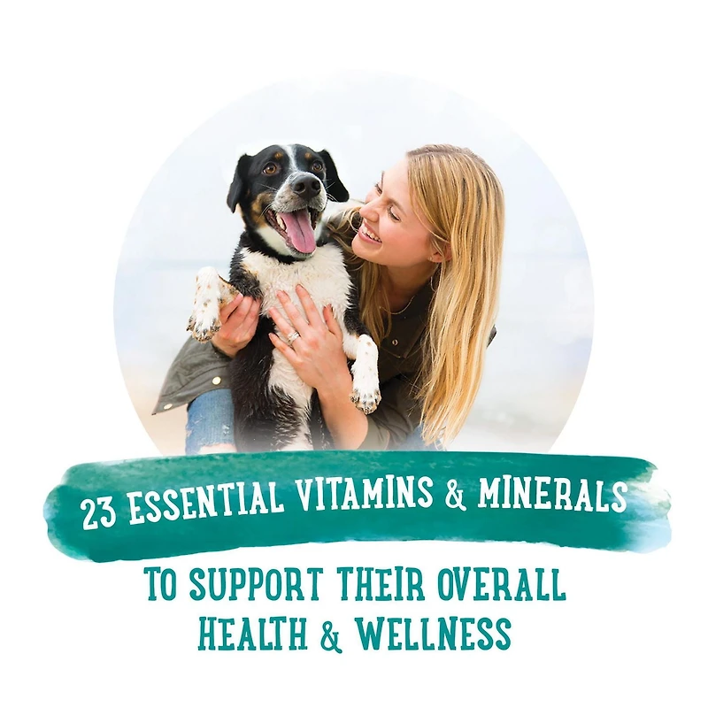 Beneful Repas Préparés Savoureux et Ragoût d'Agneau, Nourriture Humide pour Chiens 283 g 283 g