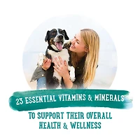 Beneful Repas Préparés Savoureux et Ragoût d'Agneau, Nourriture Humide pour Chiens 283 g 283 g