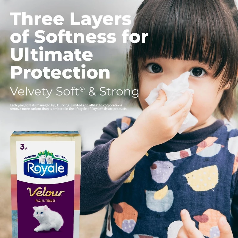 Royale Velour Facial Tissue, 12 Flat Boxes, 88 Tissues per box