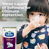 Royale Velour Facial Tissue, 18 Flat Boxes, 88 Tissues per box
