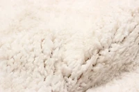 ECARPET Playa Tapis Contemporain / Moderne, Doux & Shaggy pour Salon, Chambre, Salle A Manger, Entrée, Couloir et Plus Encore.