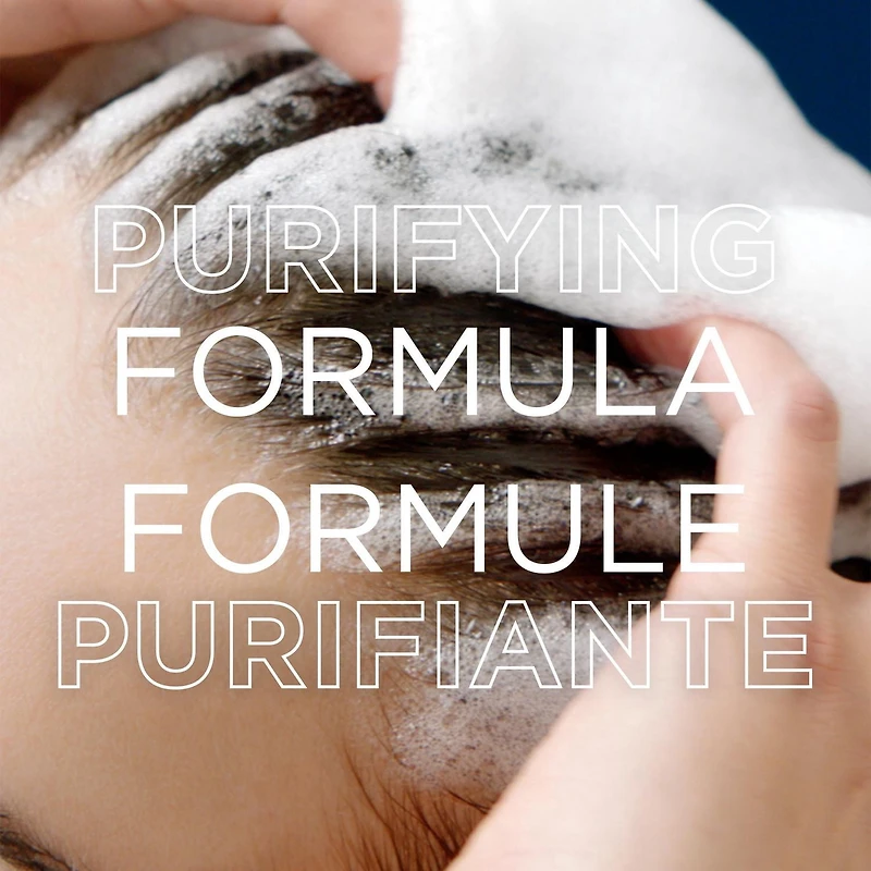 Garnier Whole Blends Magnetic Charcoal Purifying Conditioner for Greasy Scalp, Hydrates Dry Ends for Up to 48-Hours, with Charcoal