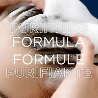 Garnier Whole Blends Magnetic Charcoal Purifying Conditioner for Greasy Scalp, Hydrates Dry Ends for Up to 48-Hours, with Charcoal