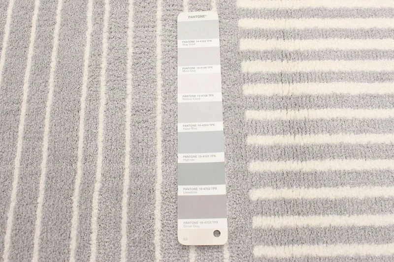 Tapis Moderne ECARPET pour Salon, Salle à Manger et Chambre à Coucher, Collection Ambiance