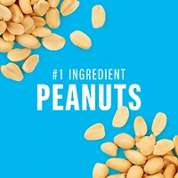 KIND PROTEIN+ Peanuts & Dark Chocolate, 62 g, 4 Bars