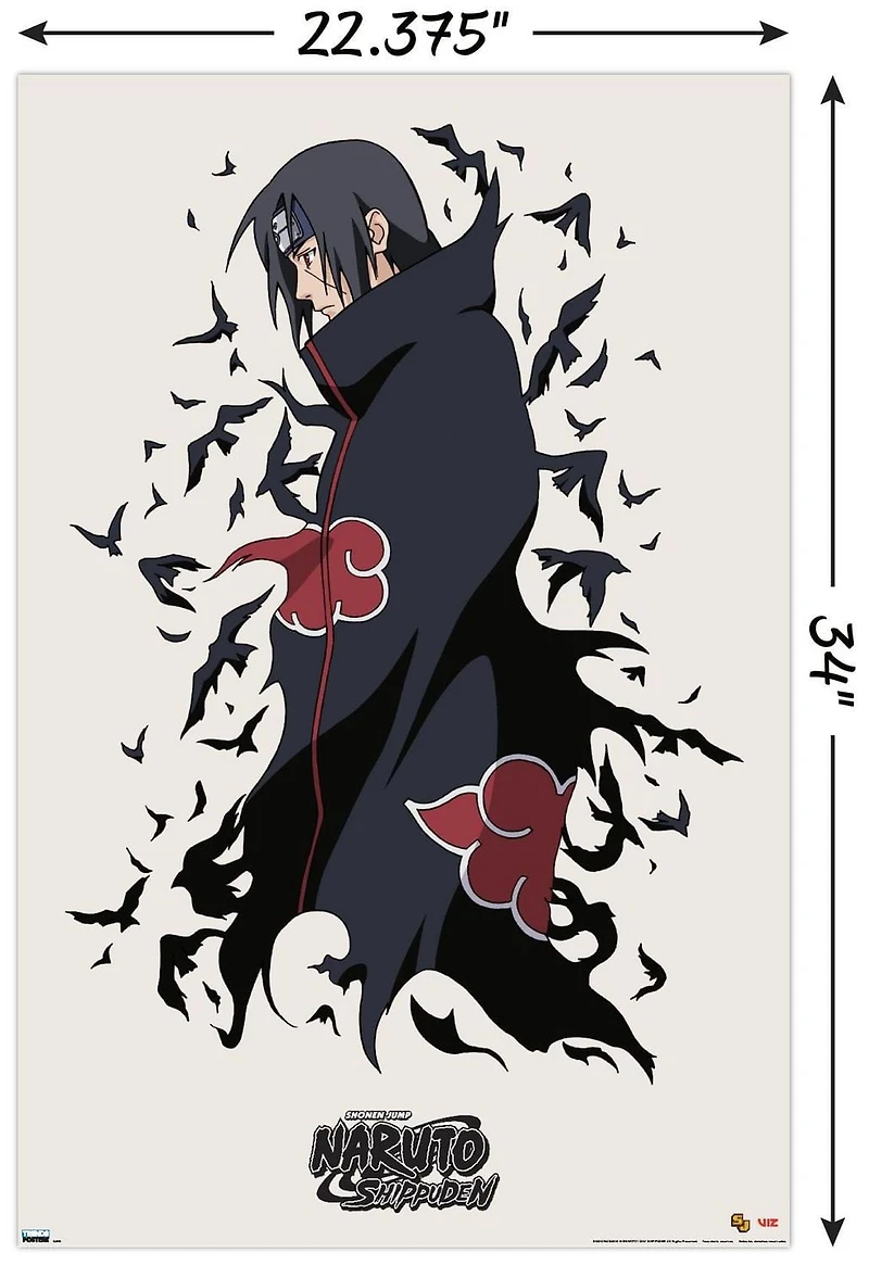 Naruto Shippûden