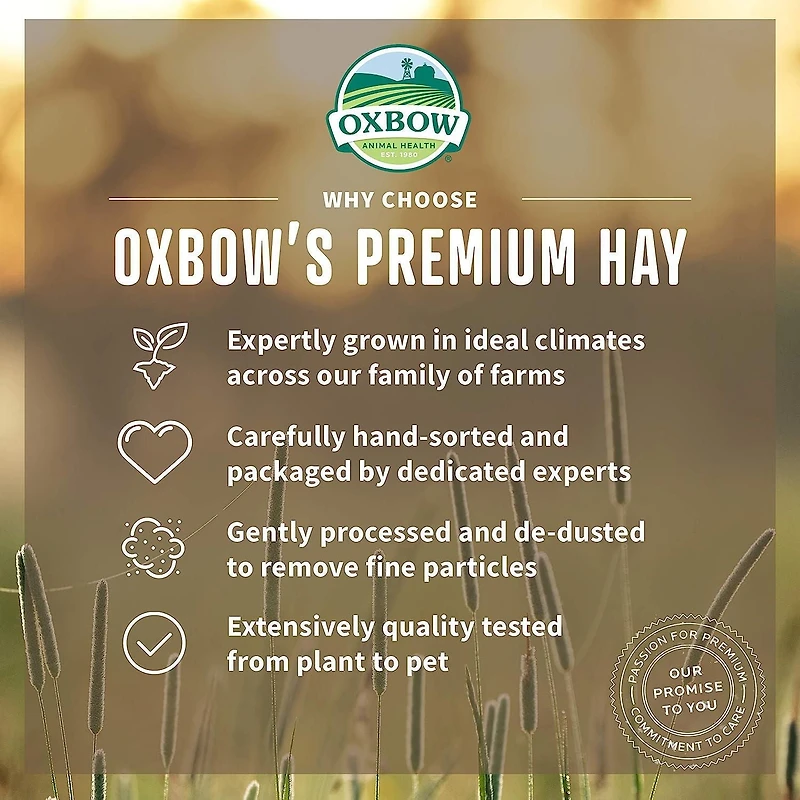 Nourriture pour petits animaux OxBow Herbe du verger