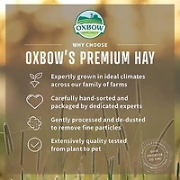 Nourriture pour petits animaux OxBow Herbe du verger