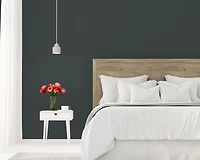 Rust-Oleum Sure Colour™ Peinture + Apprêt, Intérieur Coquille d'oeuf, Noir Charbon 3,78L 3,78L