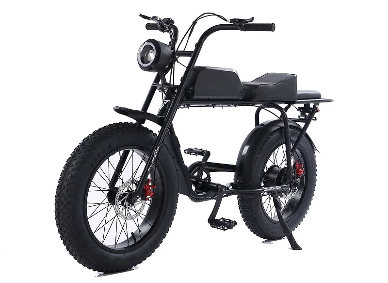 GoTyger 500W 2 Seated 20 in. 4.0 Fat Tire eBike