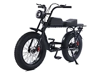GoTyger 500W 2 Seated 20 in. 4.0 Fat Tire eBike
