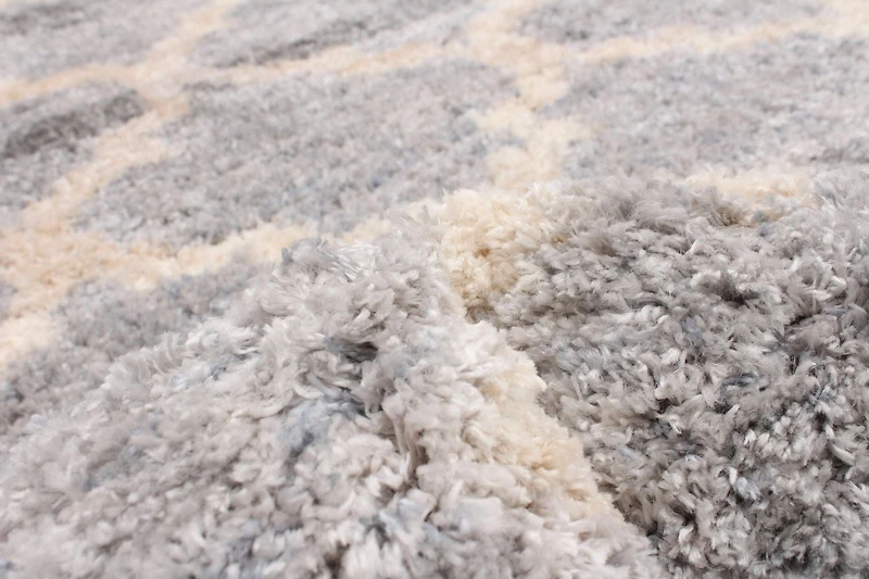 ECARPET Trellis Frieze Area Rug Fluffy Carpet for Bedroom, Ultra Soft & Plush Annica Collection