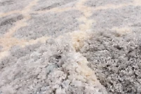 ECARPET Trellis Frieze Area Rug Fluffy Carpet for Bedroom, Ultra Soft & Plush Annica Collection