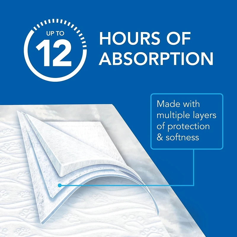 Scott Pet Guard Dog Pads - Dog Training Pee Pads for Puppies, Medium & Large Dogs - Up to 12 Hour Absorbent odour Control - Easily Disposable Dog Pee Pads - Size Large - 22" x 22" - 50 Pack