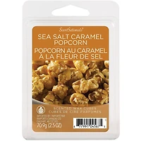 ScentSationals Scented Wax Cubes - Sea Salt Caramel Popcorn, 2.5 oz (70.9 g)