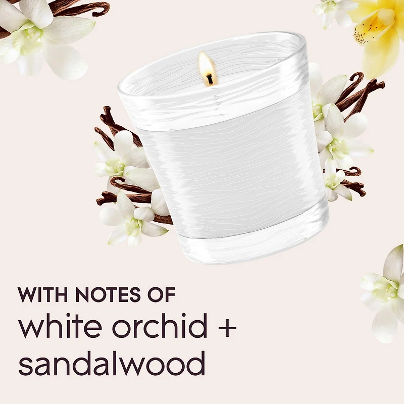 Glade Branchées® Huile parfumée Recharge, Golden Pumpkin and Spice™