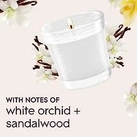 Glade Branchées® Huile parfumée Recharge, Golden Pumpkin and Spice™