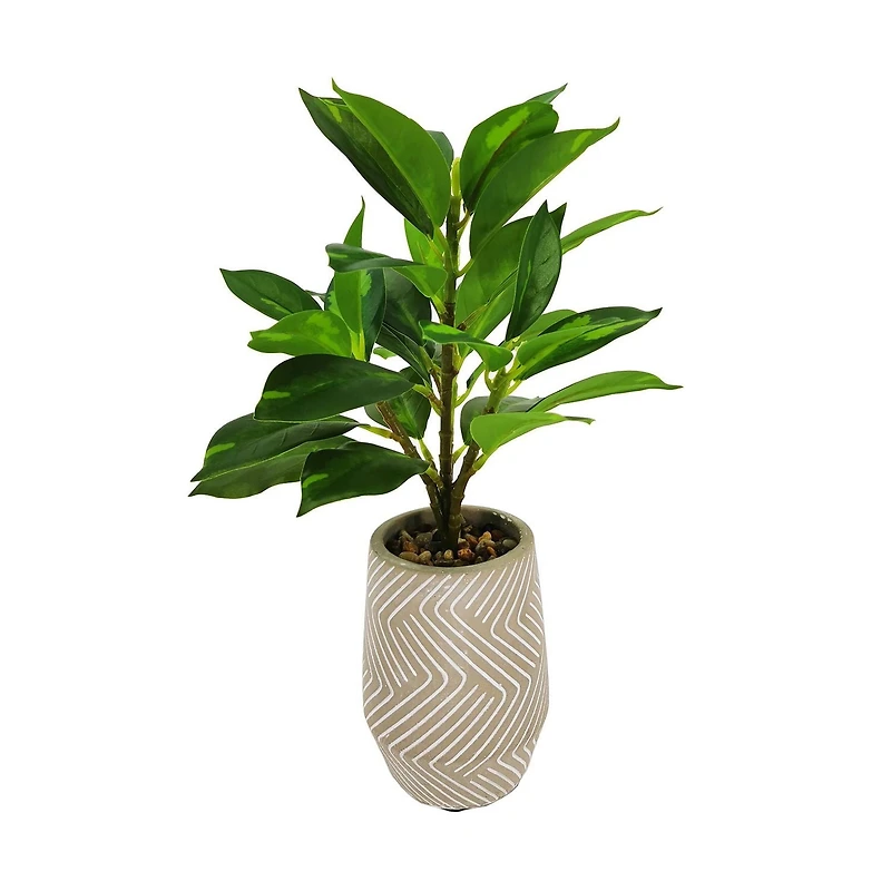 Lerman Decor's slim plant in zigzag pot