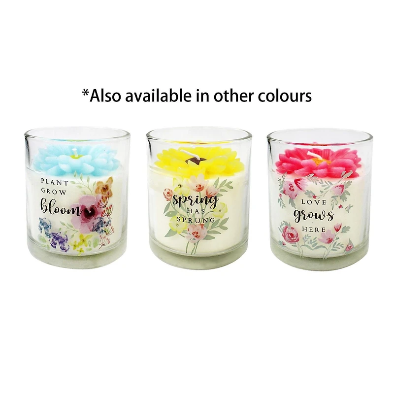 7oz TROPICAL SUNSET Fragranced Candle