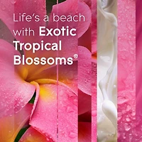 Glade Branchées® Huile parfumée Recharge, Fleurs tropicales exotiques deux recharges