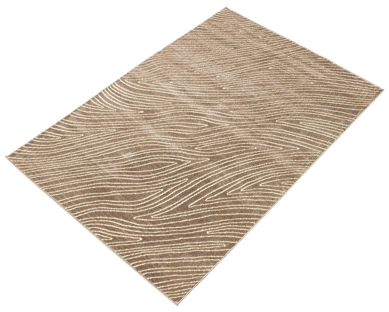 Tapis ECARPET Moderne pour Salle à Manger, Salon, Chambre Vector Beige