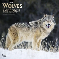 Wolves Les Loups 2023 Square BTCA
