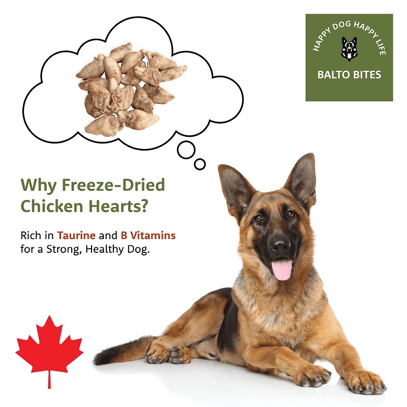 Balto Bites Freeze-Dried Chicken Hearts Dog Treats