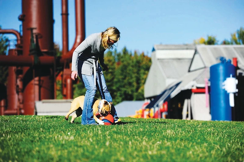 Chuckit! Large Kick Fetch Ball Dog Toy, 8" Large Kick Ball