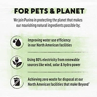 Beyond Grain Free Pâté Variety Pack 4 Flavours, Wet Cat Food 85 g x 24, 85 g x 24