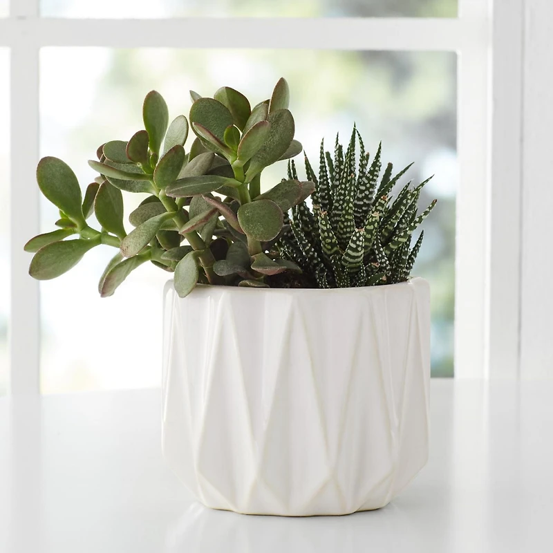 Better Homes & Gardens Céramique Pot à motif géométrique de 12,7 cm-Blanc Pot de fleur