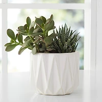Better Homes & Gardens Céramique Pot à motif géométrique de 12,7 cm-Blanc Pot de fleur