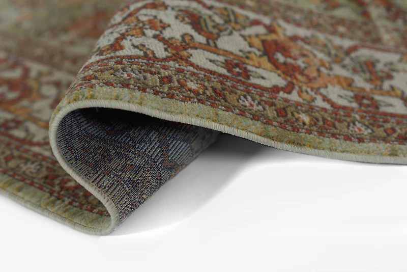 ECARPET Hailey Traditional Area Rug for Living Room, Bedroom, Dining Entrance, Hallway and More.