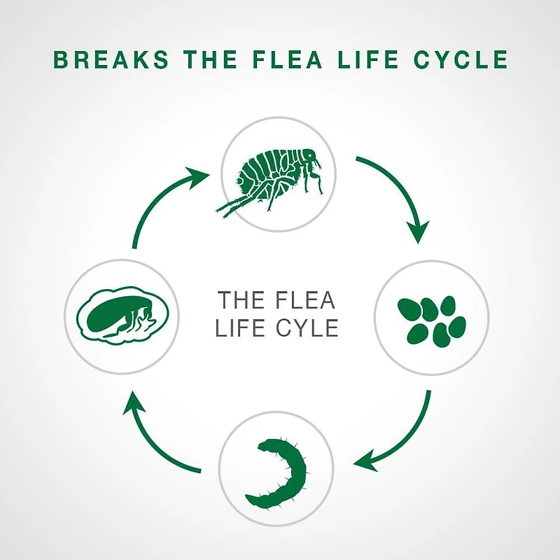 Advantage II Flea Treatment for Kittens