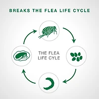 Advantage II Flea Treatment for Kittens