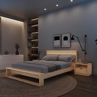 Gael 4 Piece Queen Size Bedroom Set with Slatted Bedframe, Headboard with Integrated Light, 2 Nightstands